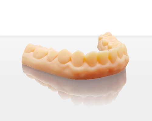 Orthodontic model